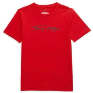 Tommy hilfiger for Boys 2-14 years Kids Clothing