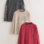 Baker by Ted Baker Stone/Red/Charcoal 3 Pack Long Sleeve Graphic T-Shirts